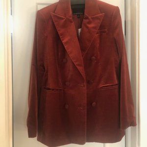 Veluro Oversize Velvet Blazer Banana Republic Size 2